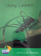 Local cover image